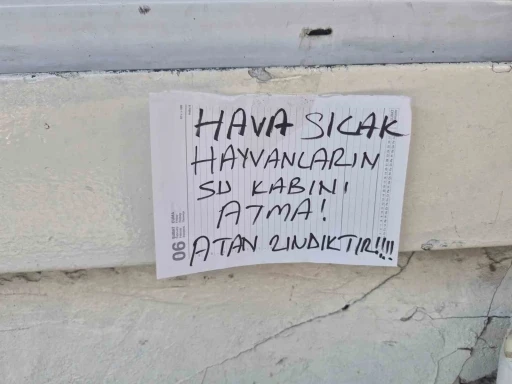 Sokak hayvanlarının su kabını atanlara ilgin&ccedil; tepki: "Atan zındıktır"
