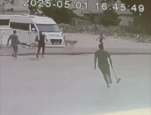 Sokak  köpekleri çocuğa saldırdı
