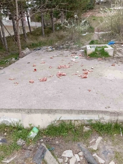 Sokaklara hayvanlar için atılan kokan ürünler vatandaşları çileden çıkarıyor
