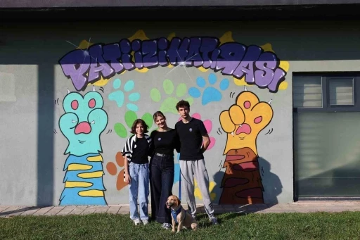 Sokaktan sıcacık yuvaya: ‘Pati İzi’nde 500 can dost yeni hayatına kavuştu
