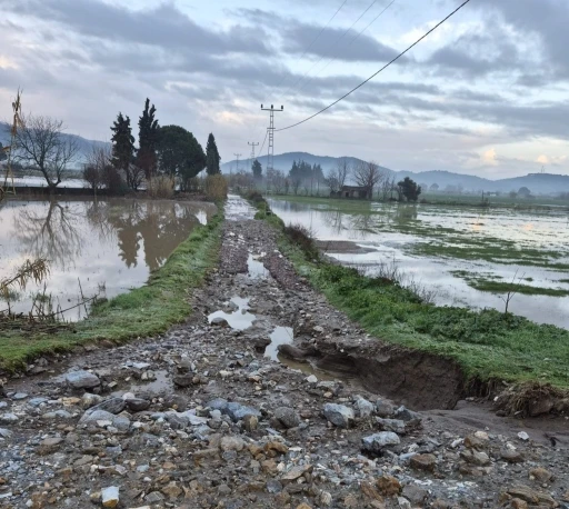 S&ouml;ke&rsquo;de aşırı yağışlar sonrası tarım alanlarında hasar tespiti
