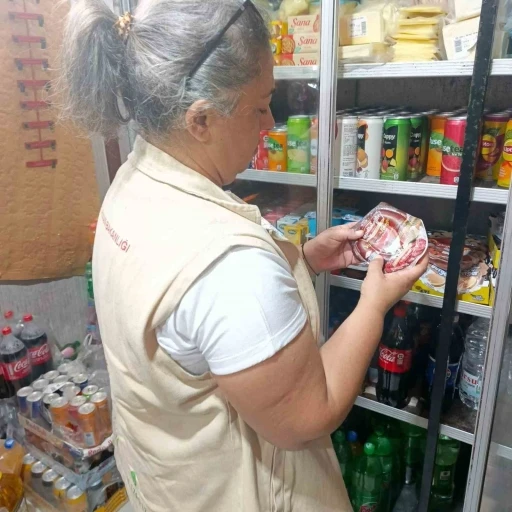 S&ouml;ke&rsquo;de gıda işletmeleri denetlendi
