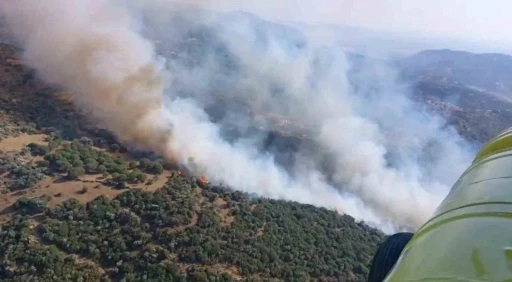 Söke’deki yangın kontrol altına alındı
