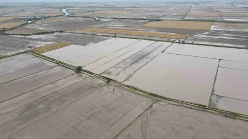 S&ouml;ke&rsquo;nin 2026 yılı &uuml;r&uuml;n deseni belli oldu
