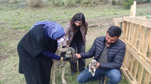 Sosyal medyada linç edilmişti, o köpeğin sahibi konuştu
