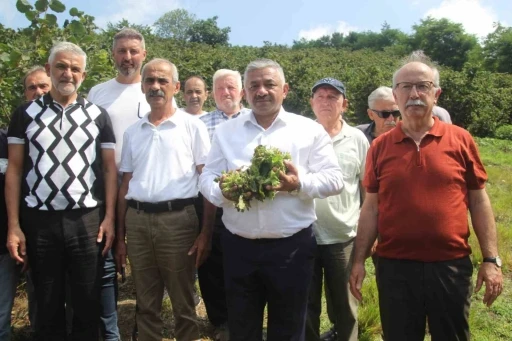 Soydan: &quot;Üreticiler kontrollü hareket ederse, fındık fiyatları taban fiyatın üzerine çıkar&quot;
