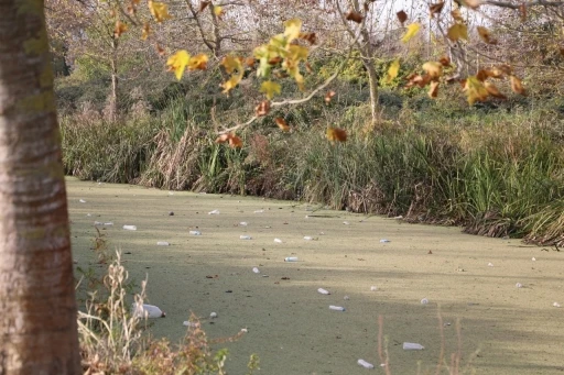 Su kanalı adeta çöplüğe döndü: Vatandaş Karasu Belediyesi’ni göreve çağırdı
