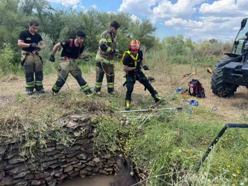 Su kuyusuna d&uuml;şen yaban domuzu, itfaiye ekiplerince kurtarıldı
