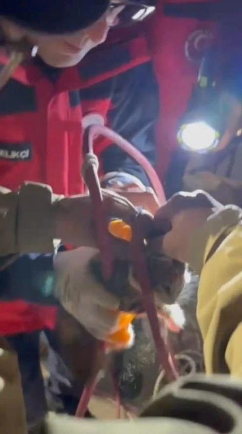 Su pompası deliğine d&uuml;şen yavru kediyi itfaiye kurtardı
