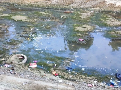 Sulama kanalındaki balıklar telef olmaya devam ediyor
