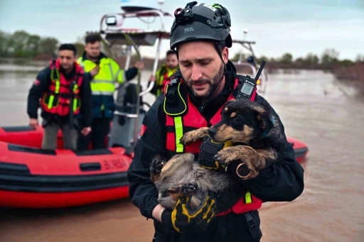 Sular altında kalan bağ evinde mahsur kalan iki k&ouml;peği belediye ekipleri kurtardı
