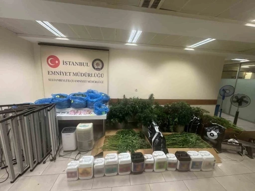 Sultanbeyli&rsquo;de kenevir serasına baskın: 21 kilo Hint keneviri ele ge&ccedil;irildi
