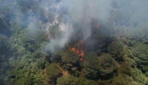 Sultangazi Kent Ormanı’nda yangın: İtfaiye ekipleri alevlere müdahale ediyor
