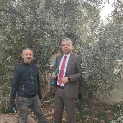 Sultanhisar&rsquo;da zeytin budama kursu başladı
