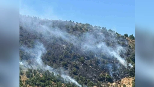 Sultanhisar yangını kontrol altına alındı