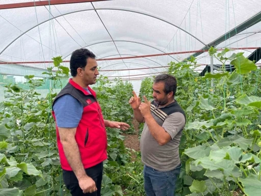 Sulu tarım mevsimlik tarım iş&ccedil;iliğini bitirdi
