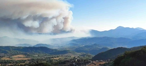 Suriye’de devam eden orman yangını Türkiye sınırına ulaştı
