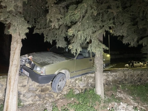 Sürücüsü kalp krizi geçiren otomobil ağaca çarptı: 1 ölü
