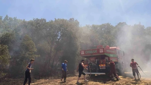 Susurluk’ta arazi yangını kontrol altına alındı
