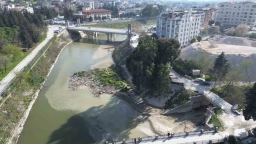 Suyun renginin değiştiği Asi Nehri’nde tedirgin eden balık ölümleri
