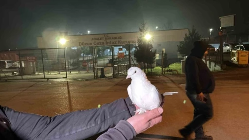 Tahliyeleri beyaz g&uuml;vercinle karşıladılar
