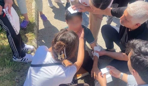 Takdir belgesi sevinci hastanede bitti: Yolun karşısına ge&ccedil;erken otomobil &ccedil;arptı
