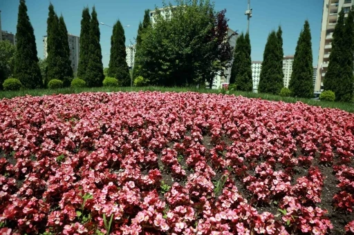 Talas 2026&rsquo;da rengarenk olacak
