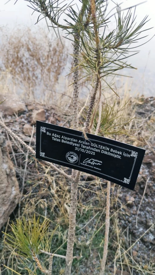 Talas Belediyesi&rsquo;nden geleceğe nefes: Her bebek i&ccedil;in bir fidan
