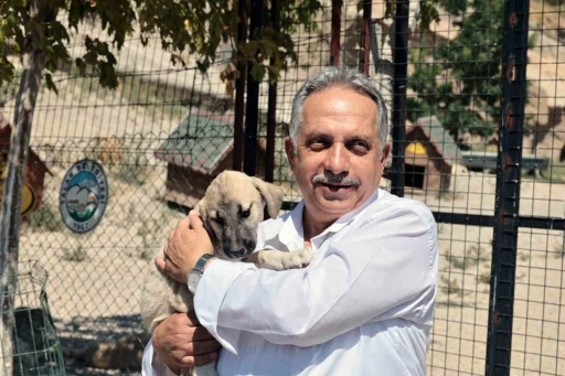 Talas Patievi Doğal Yaşam Alanı 500 can i&ccedil;in se&ccedil;kin bir yuva
