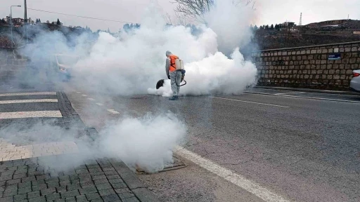 Talas’ta sinek ve haşerata erken önlem
