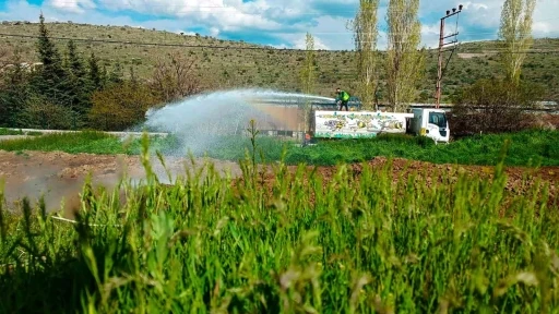 Talas’ta sinek ve haşerata erken önlem
