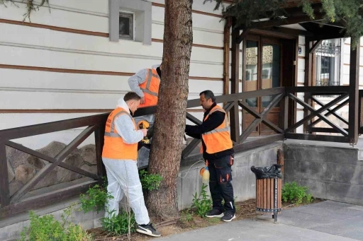 Talas&rsquo;tan &ccedil;evre dostu ila&ccedil;lama atağı
