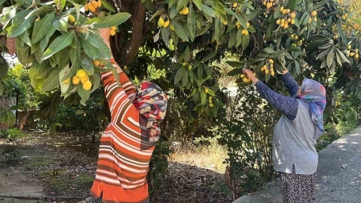 Talep azalınca bedava dağıttı, poşetini alan bah&ccedil;eye koştu
