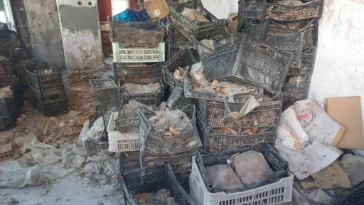 Tarihi çömlek ve seramikler atıl vaziyette çürüme terkedildi
