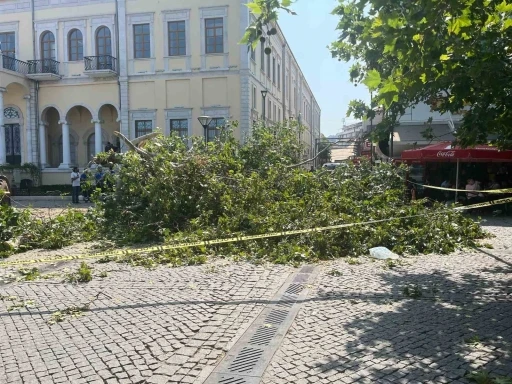 Tarihi Kemeraltı Çarşısı girişindeki dev çınar devrildi
