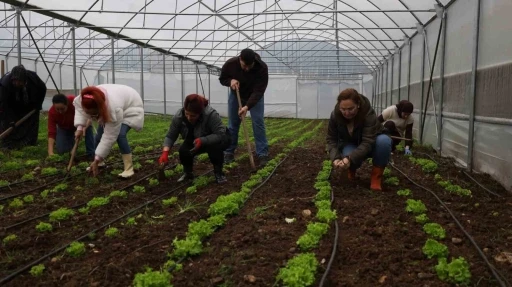 Tarım Akademisi&rsquo;nde 16-55 yaş arası aday &ccedil;ift&ccedil;ilere eğitim
