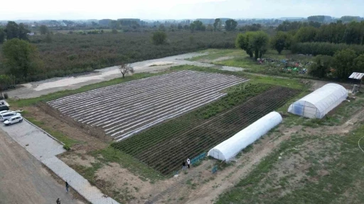 Tarım akademisi öğrencilerin uygulama sahası olacak
