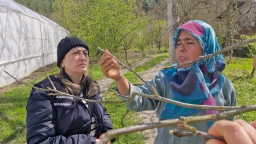 Tarım alanlarında &quot;zarar tespit&quot; incelemesi

