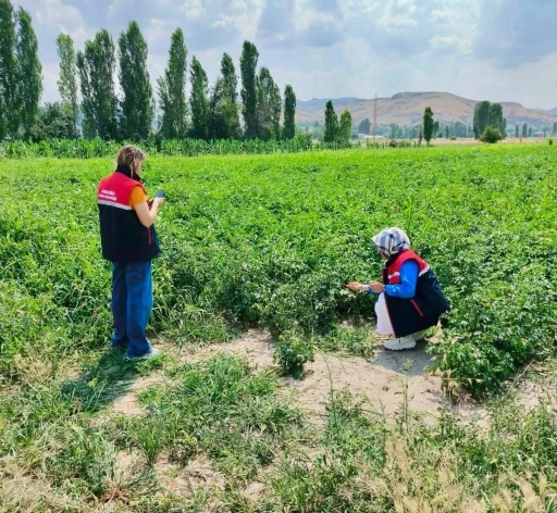 Tarım arazilerinin korunması &ccedil;alışmaları s&uuml;r&uuml;yor
