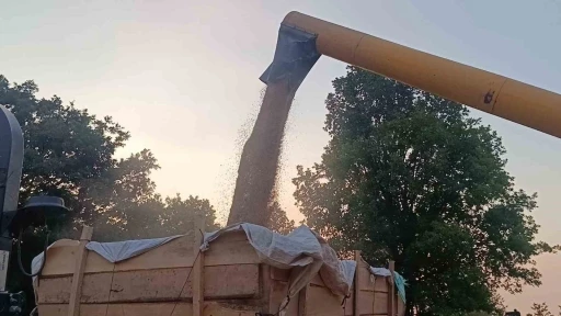 Tarım şehri Bilecik’te arpa ve buğday bereketi
