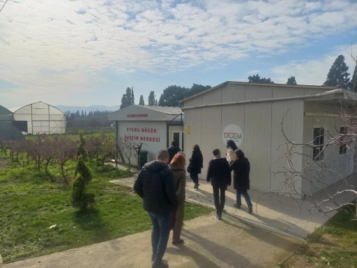 Tarım zararlılarıyla m&uuml;cadelede 2026 yılı yol haritasının &ccedil;izildi
