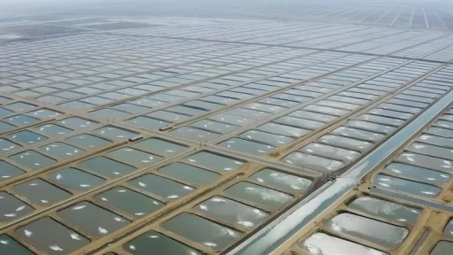 Tarıma Dayalı İhtisas Su Ürünleri Organize Sanayi Bölgesinde ön talep süreci başladı
