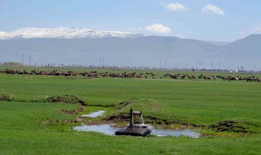 Tarımda &ouml;nder &uuml;retici modeli vurgusu
