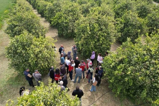 Tarımda yeni d&ouml;nem başlıyor
