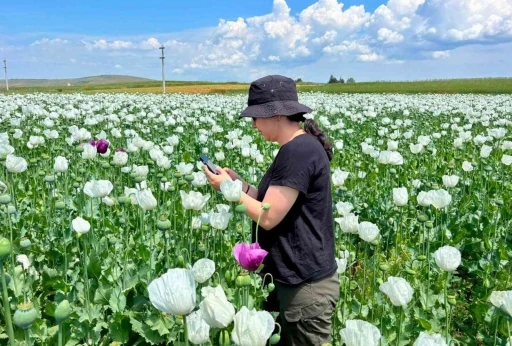 Tarımsal &uuml;retimin planlı şekilde y&uuml;r&uuml;t&uuml;lmesi i&ccedil;in &ccedil;alışmalar s&uuml;r&uuml;yor
