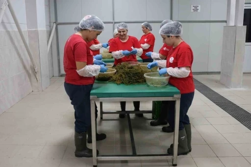 Tarımsal &Uuml;r&uuml;n Fabrikası ile kadınlar &uuml;retiyor Efeler kazanıyor
