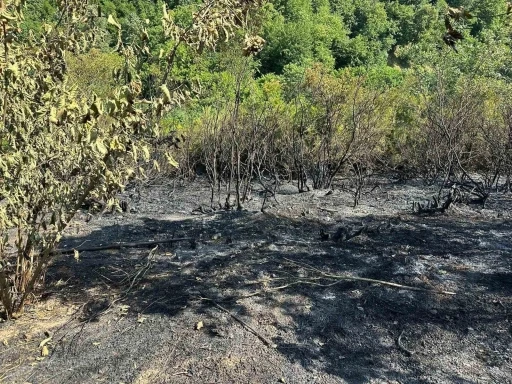 Tarla temizliğinden yangın çıktı
