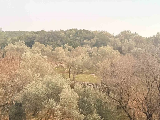 Tarlada aniden fenalaşan bir kişi hayatını kaybetti
