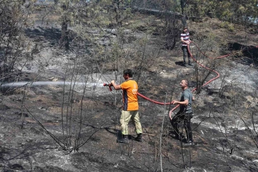 Tarlada çıkan yangın ormana sıçradı: 6 dekar alan zarar gördü
