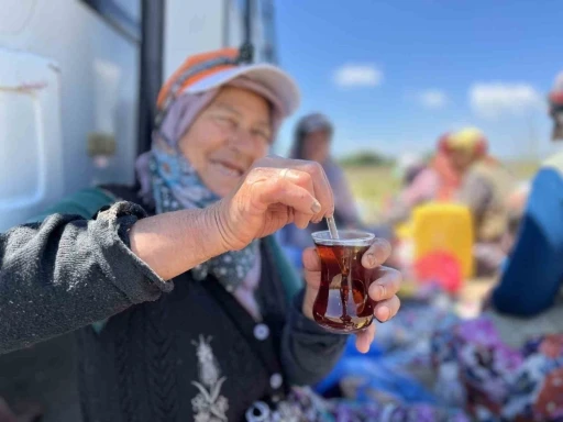 Tarlada yoruluyorlar odun ateşinde matarada &ccedil;ayla dinleniyorlar
